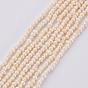Pearl 2X3mm