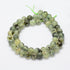 Prehnite Round Beads 10mm