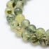 Prehnite Round Beads 6mm